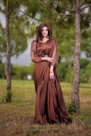 Elegant Brown Silk Saree with Organza Sleeves – Perfect for formal and festive occasions.